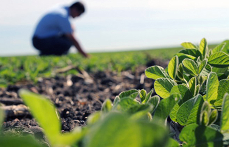 Producción Agropecuaria